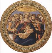 Sandro Botticelli Madonna and Child with six Angels or Madonna of the Pomegranate (mk36) oil